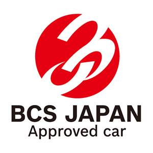 Bosch Car Service